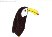 Rose, P5b Bruntsfield006