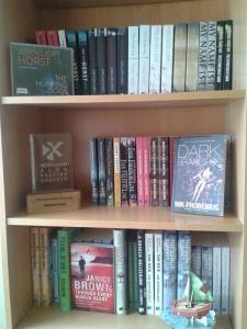 Robert Davidson's bookcase