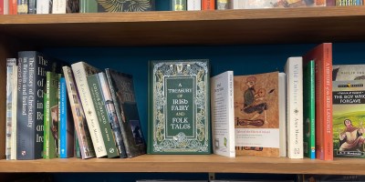 Library shelf of an independent bookshop in Galway